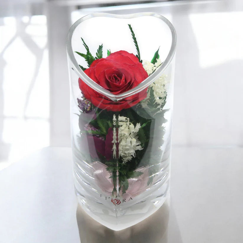 Romance: Single Red Rose, Beautiful Heart-Shaped Vase