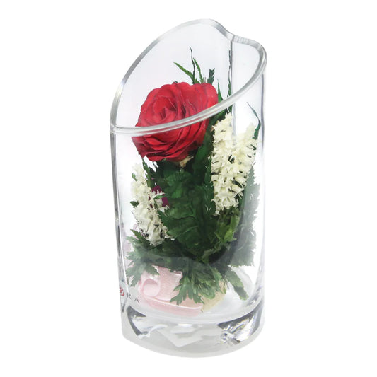 Romance: Single Red Rose, Beautiful Heart-Shaped Vase