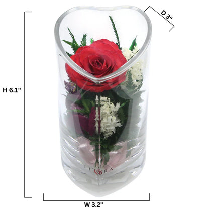 Romance: Single Red Rose, Beautiful Heart-Shaped Vase