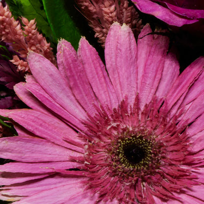 Elegant Long-Lasting Roses and Gerbera in a Glass Vase