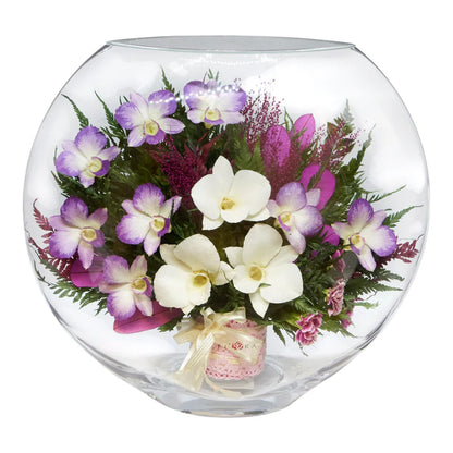 Breathtaking Orchids in a Stunning Large Round Glass Vase