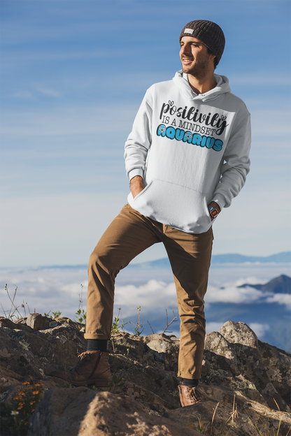 Men's Aquarius Unisex Pullover Hoodie Gildan